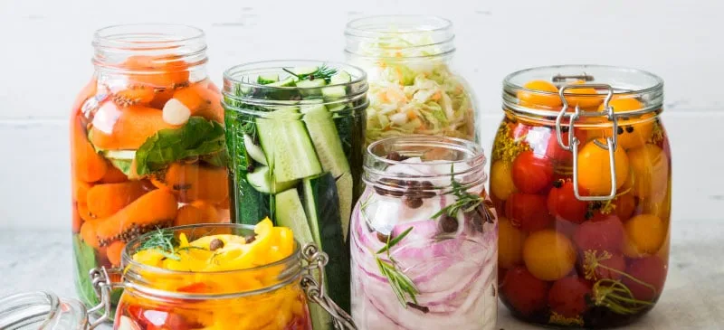 fermented foods connection to weight loss