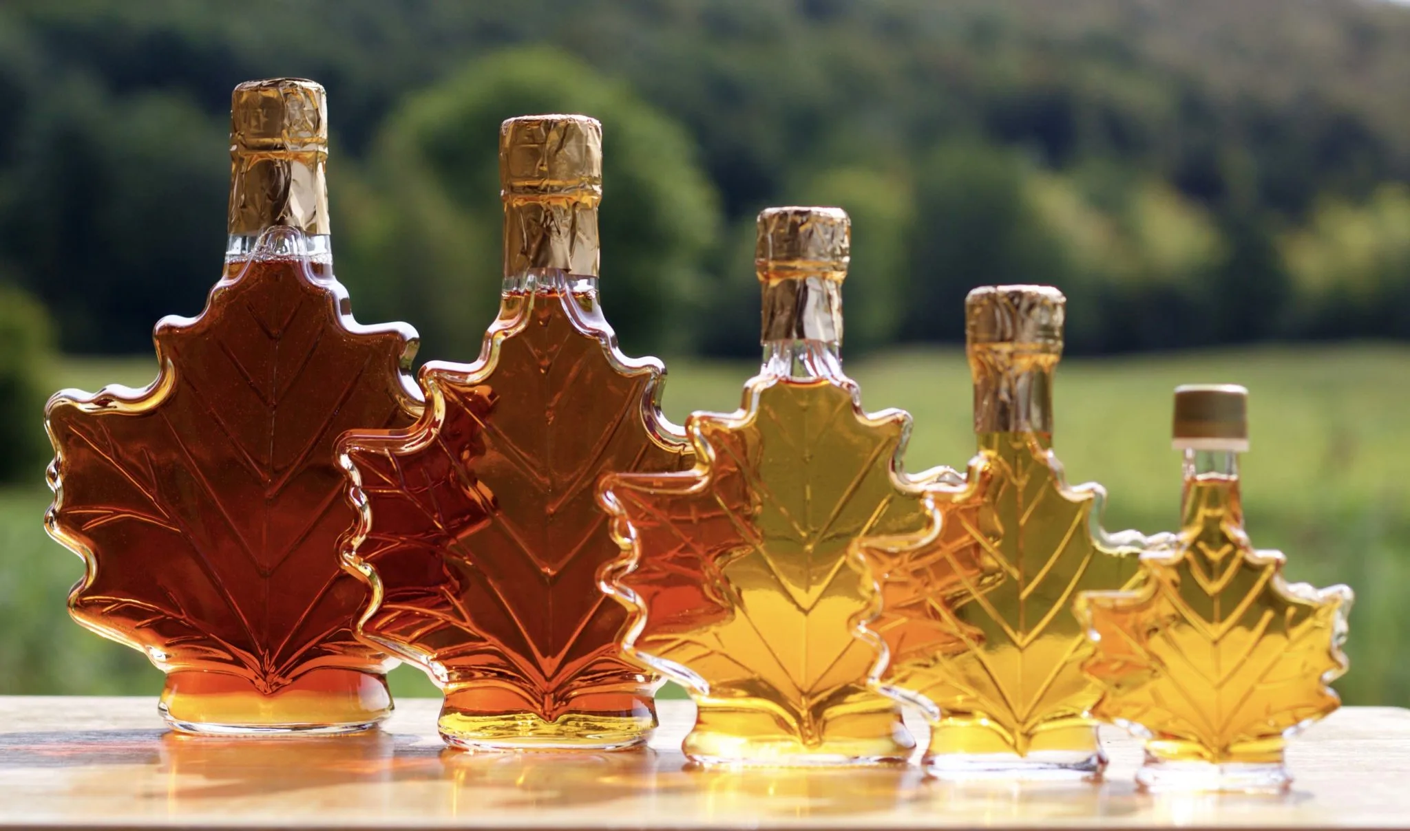 maple syrup for weight loss