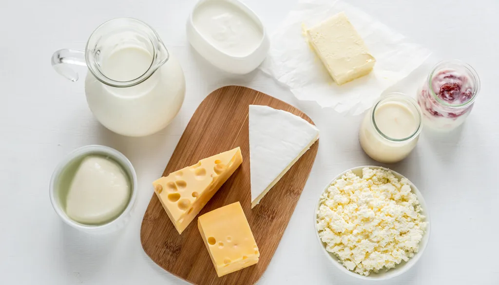 dairy nutrition for weight loss