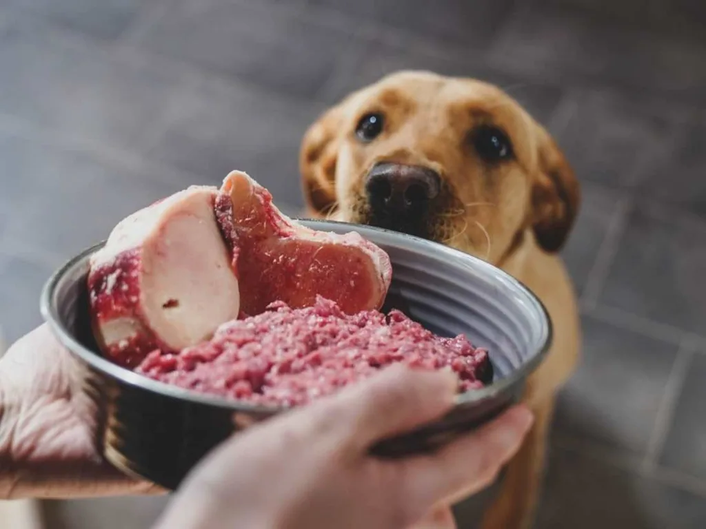 cautions in beef food for raw dog food