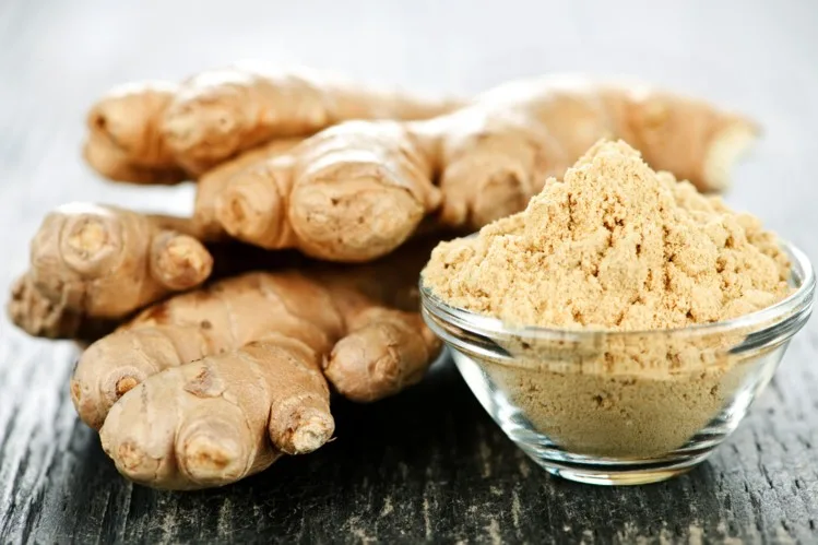 ginger effects in obesity