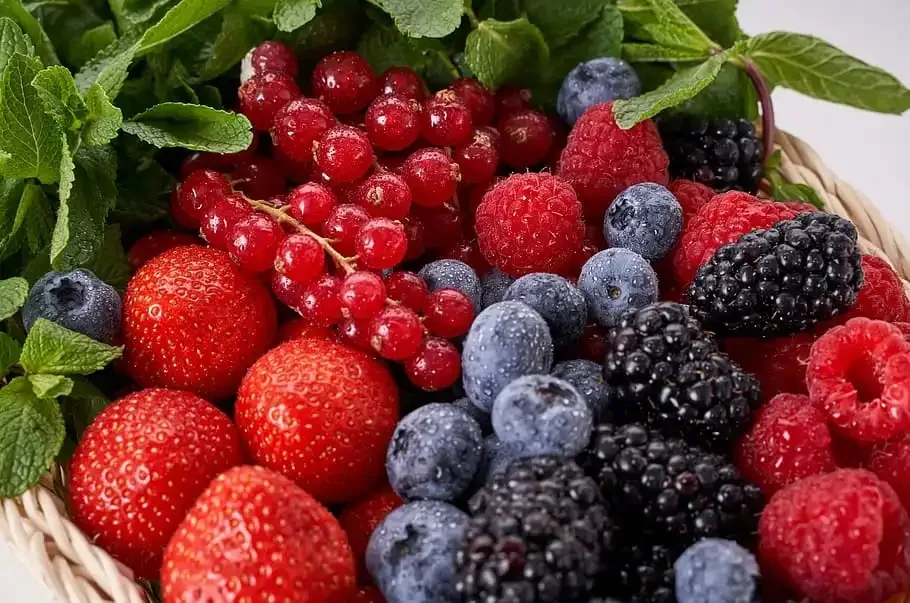 berry effects on weight loss