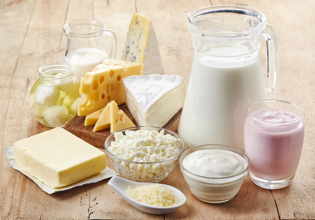 dairy for weight loss