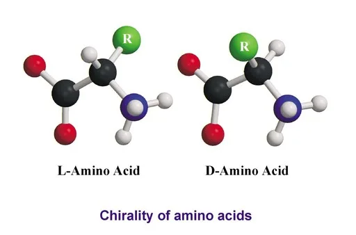 amino acids molecules