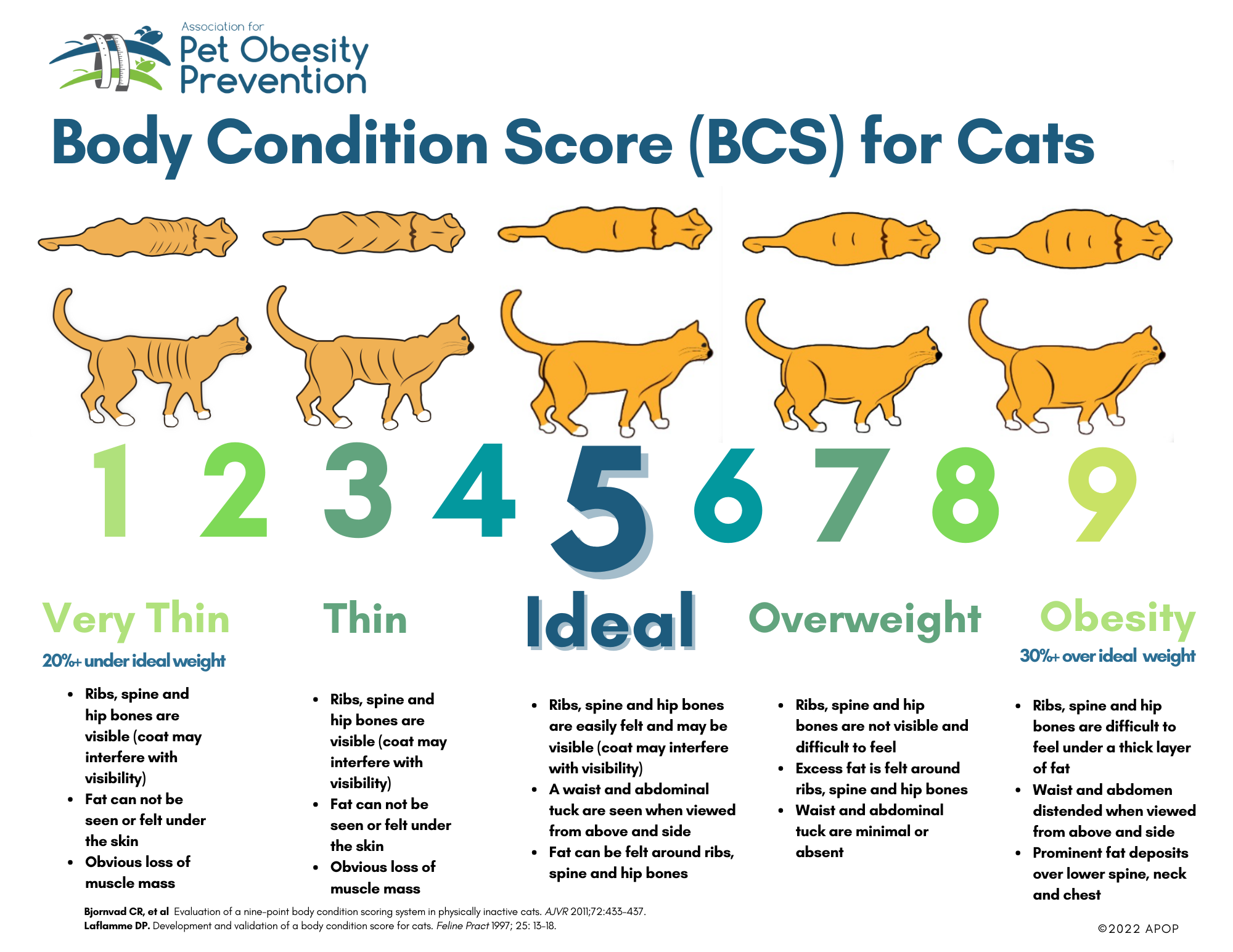 cat-obesity-chart-a-comprehensive-guide-to-identifying-and-managing