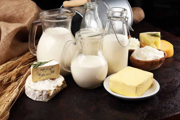 Different fresh dairy products for weight loss on rustic background with milk, cheese, butter and cottage cheese