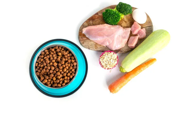 high-protein-dog-food