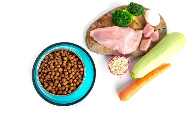 weight-loss-dog-food