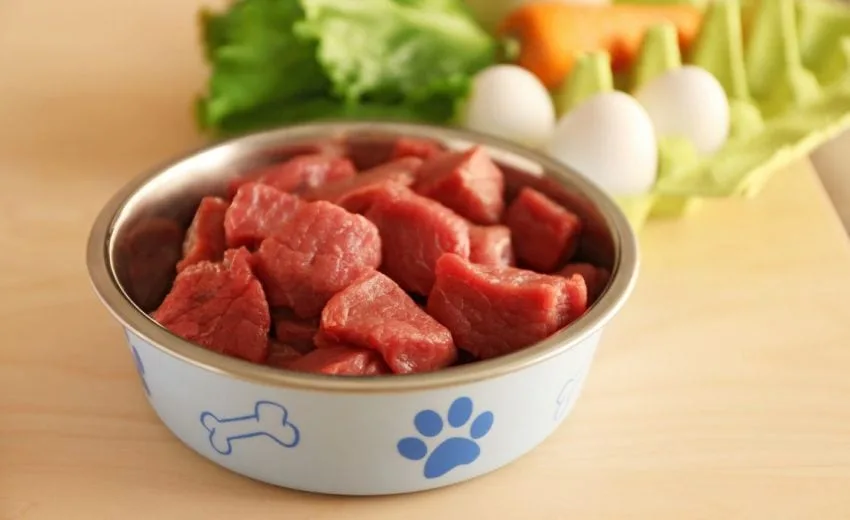 raw-dog-food-diet