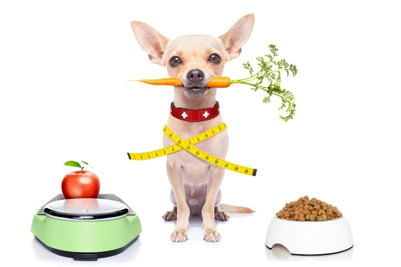 weight-control-dog-food