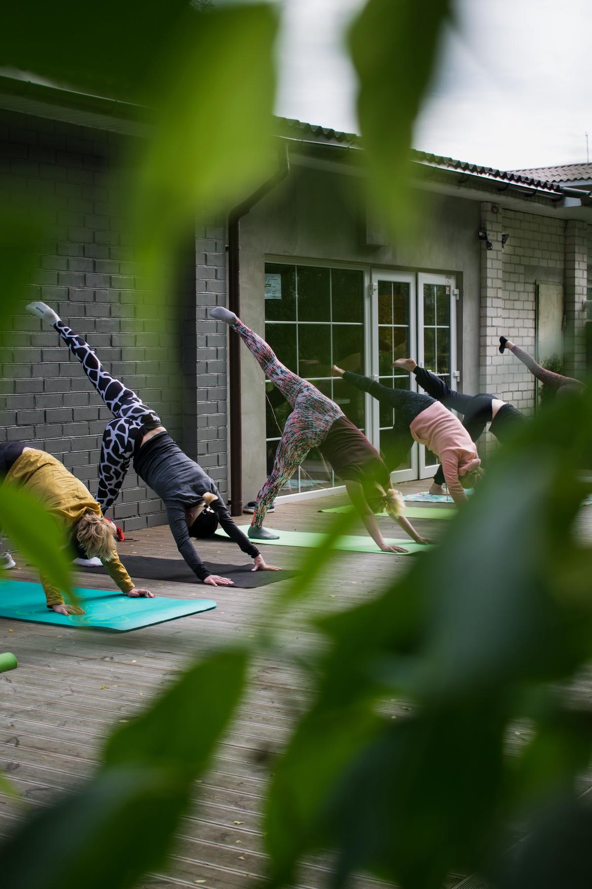 Image depicting various low-impact exercises being performed by individuals with diverse body types and ages.